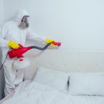 Expert en lutte antiparasitaire utilisant une machine professionnelle pour le contrôle de la punaise de lit matelas.